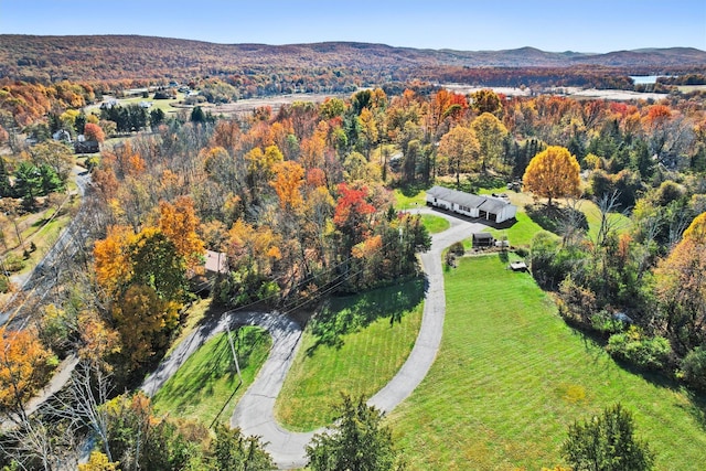 aerial view with a mountain view