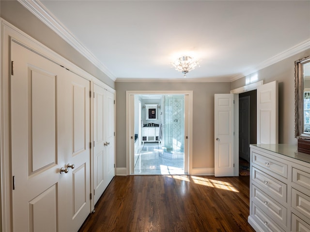 interior space featuring dark wood-type flooring and crown molding