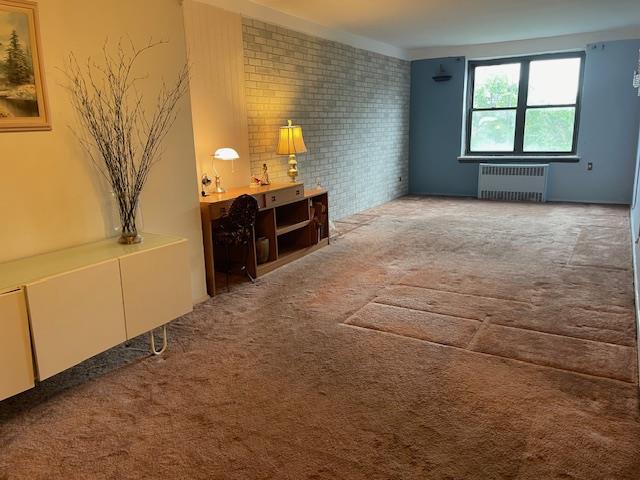 87-10204 204 Steet Unit A-62, Hollis, NY 11423 - living room with radiator heating unit and carpet floors