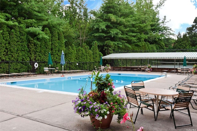 view of pool with a patio area