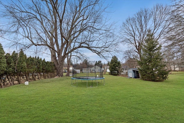 view of yard featuring a storage shed and a trampoline