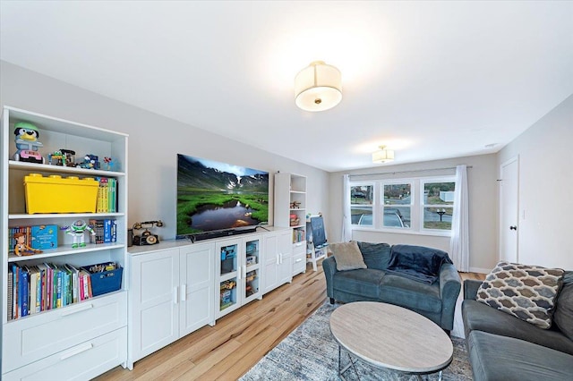 living room featuring light hardwood / wood-style floors