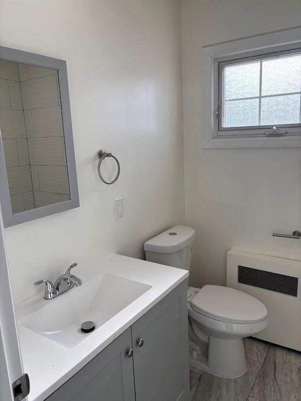 bathroom with vanity, radiator heating unit, and toilet