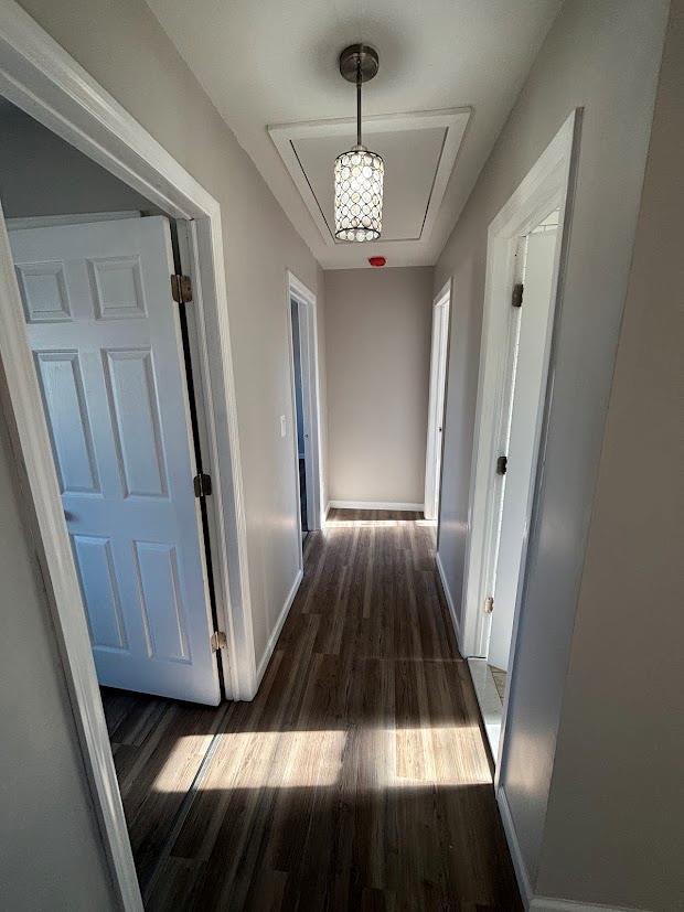 corridor featuring dark hardwood / wood-style floors