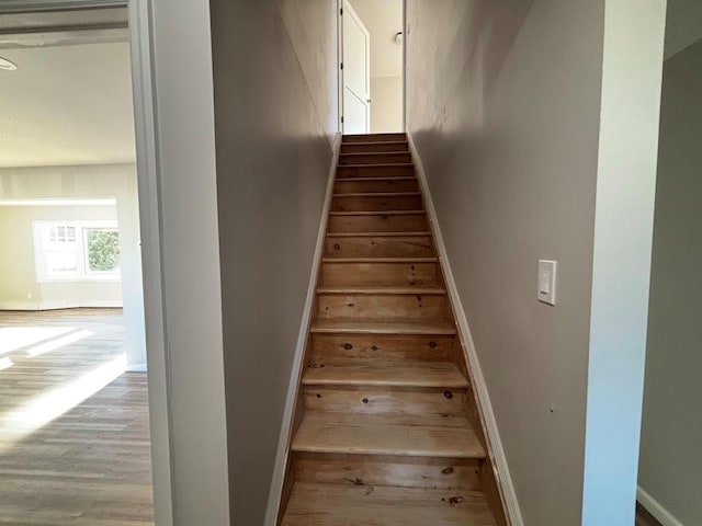 stairs with hardwood / wood-style floors