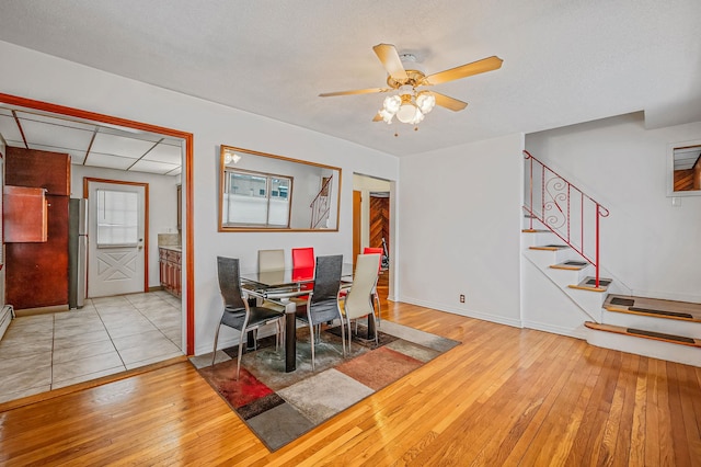 dining area with ceiling fan and light wood-type flooring