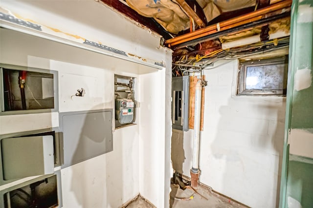 basement with electric panel