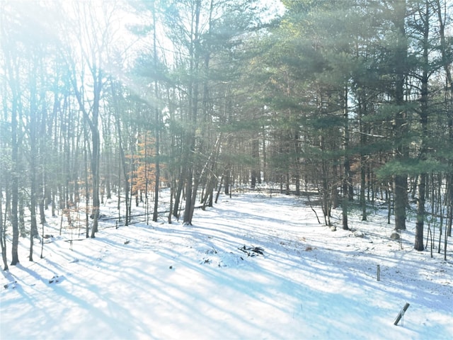 view of snow covered land