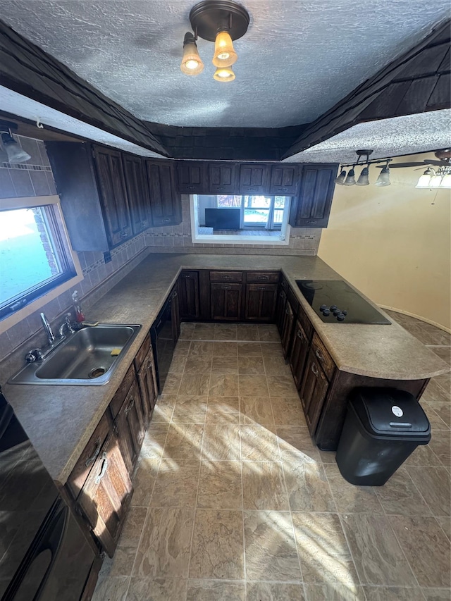 kitchen with a wealth of natural light, sink, dark brown cabinets, and black electric stovetop