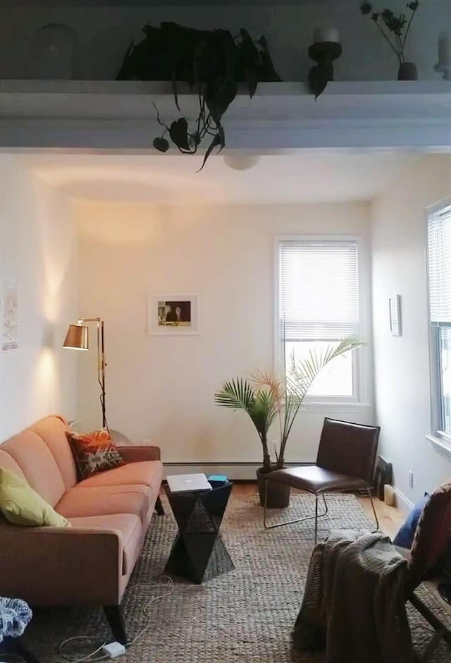 living room featuring a baseboard heating unit