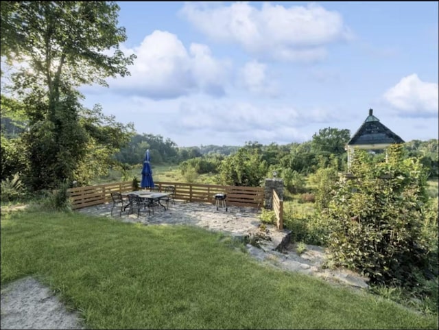 view of yard featuring a patio