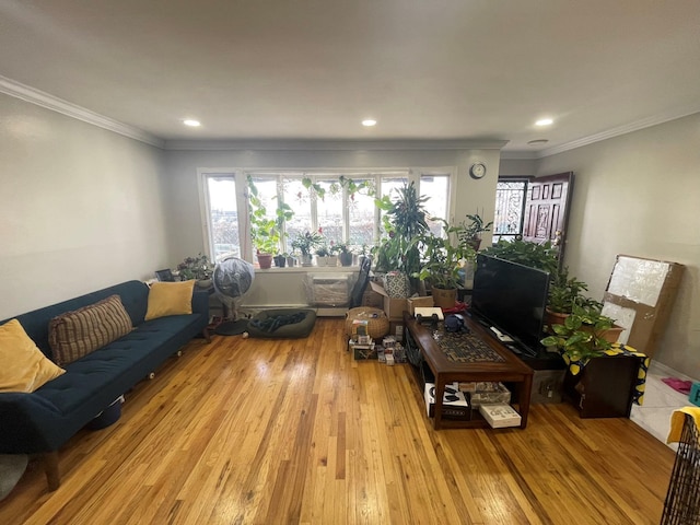 living room with light wood-type flooring and ornamental molding