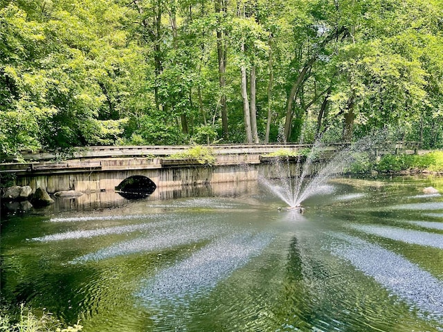 6 Hidden Pond, Muttontown, NY 11545 - water view featuring a forest