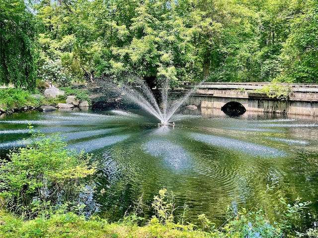 6 Hidden Pond, Muttontown, NY 11545 - water view