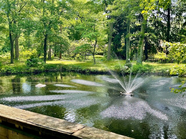 6 Hidden Pond, Muttontown, NY 11545 - surrounding community featuring a water view