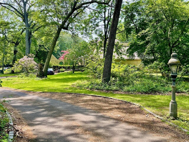 6 Hidden Pond, Muttontown, NY 11545 - surrounding community featuring a yard
