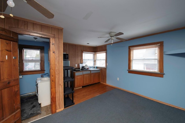 kitchen with ceiling fan, dark hardwood / wood-style floors, and crown molding