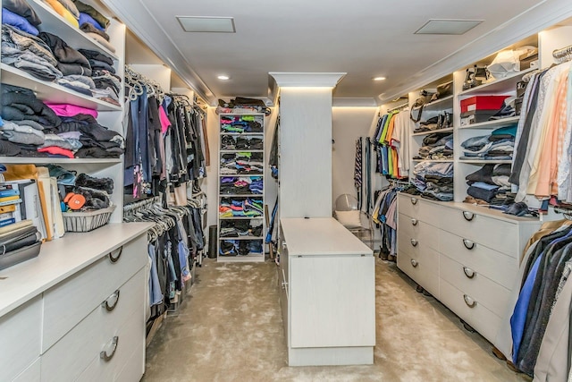 view of spacious closet