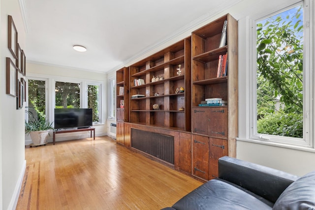 living room with radiator, ornamental molding, and light wood-type flooring