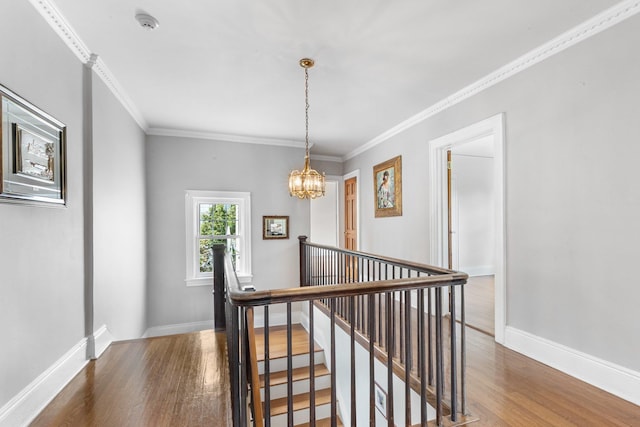 hall featuring a notable chandelier, ornamental molding, and dark hardwood / wood-style floors