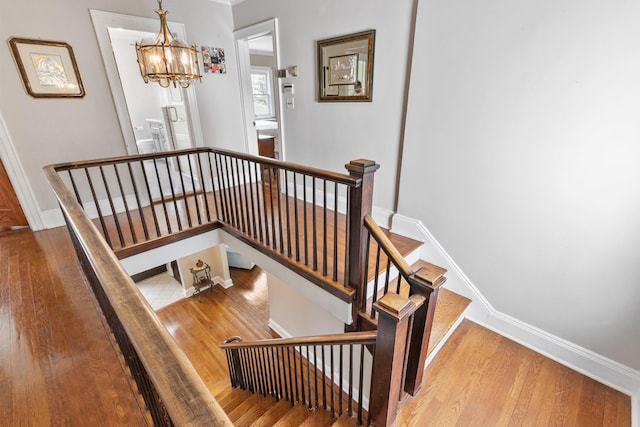 stairway featuring wood-type flooring and a notable chandelier