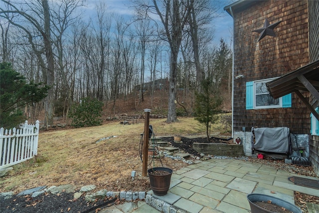 view of yard featuring a patio