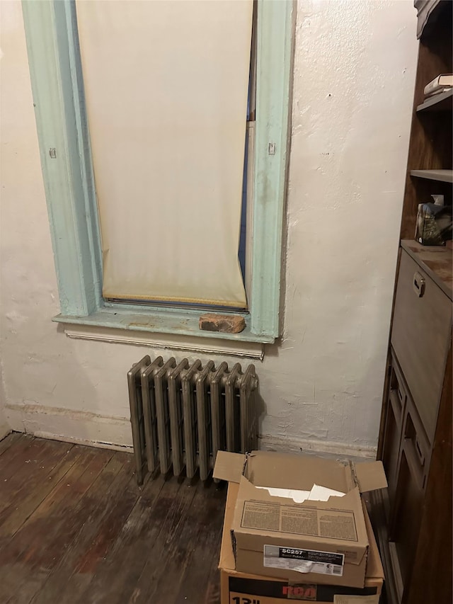 details featuring radiator and wood finished floors