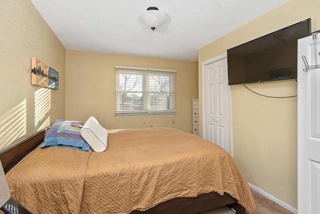 bedroom featuring carpet flooring and a closet