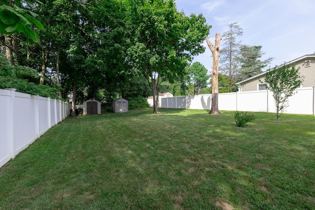 view of yard with a storage shed