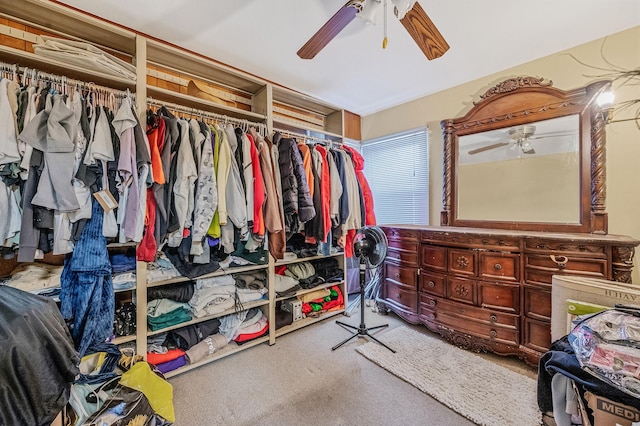 spacious closet featuring carpet flooring