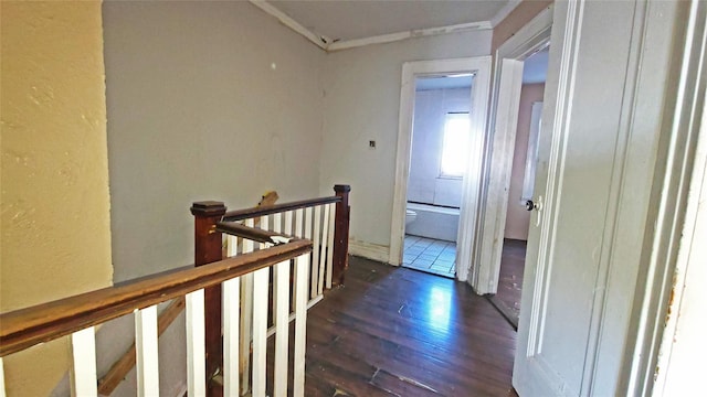 corridor featuring dark hardwood / wood-style flooring and ornamental molding