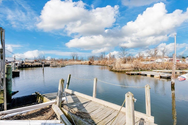 dock area with a water view