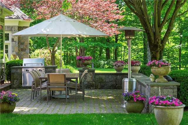 view of yard featuring a patio and an outdoor kitchen