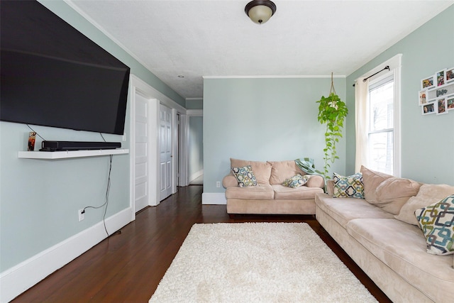 living room featuring dark wood-type flooring