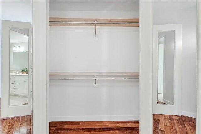 closet featuring sink