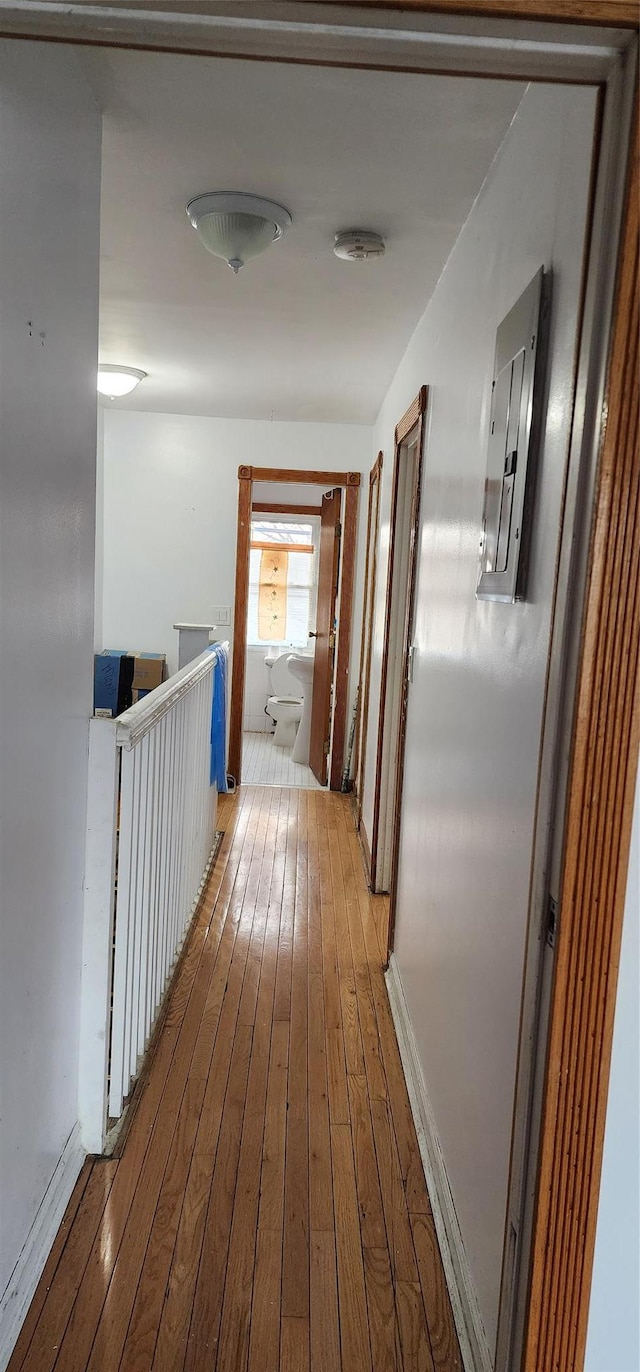 hallway featuring wood-type flooring and electric panel