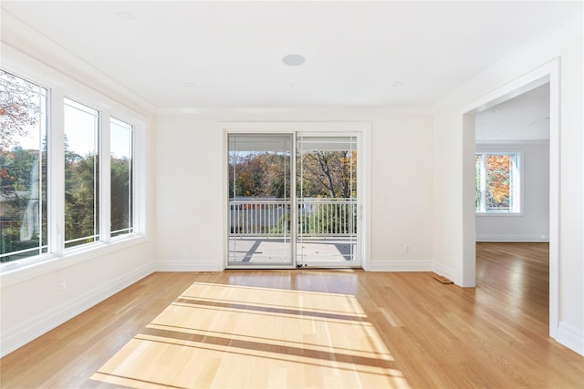 empty room featuring light hardwood / wood-style floors and ornamental molding