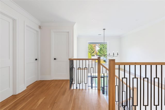 corridor featuring light hardwood / wood-style floors and ornamental molding