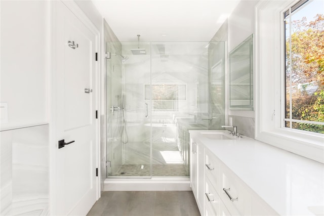 bathroom with a wealth of natural light, vanity, and a shower with shower door