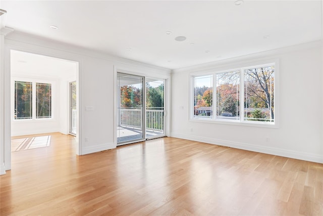 spare room with baseboards, light wood-style floors, and crown molding