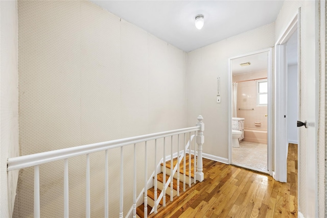 hallway with wood-type flooring