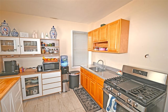 kitchen featuring stainless steel gas stove and sink