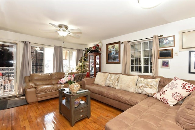 living room with ceiling fan and hardwood / wood-style floors