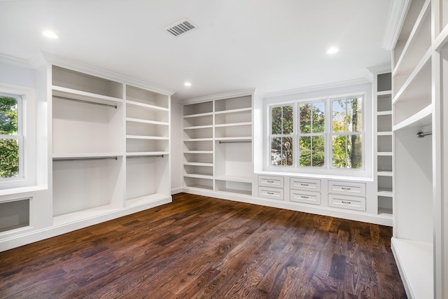 spacious closet featuring dark hardwood / wood-style flooring