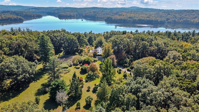 drone / aerial view with a water view and a forest view