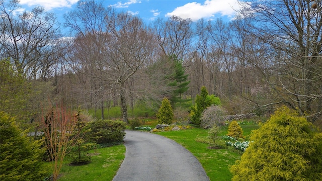 view of property's community with driveway and a wooded view