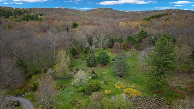 view of mountain feature with a wooded view