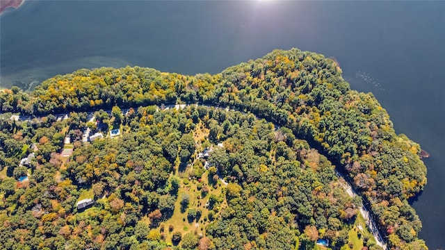 bird's eye view featuring a forest view and a water view