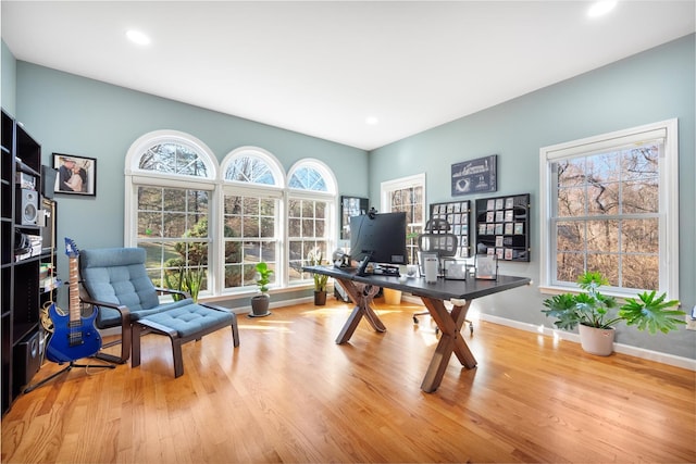 office space featuring light hardwood / wood-style flooring