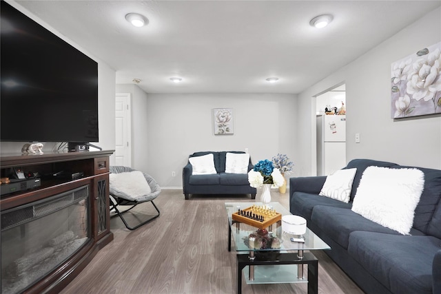 living room featuring light hardwood / wood-style floors